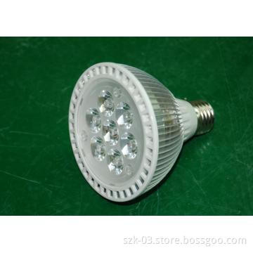 LED Par30 light